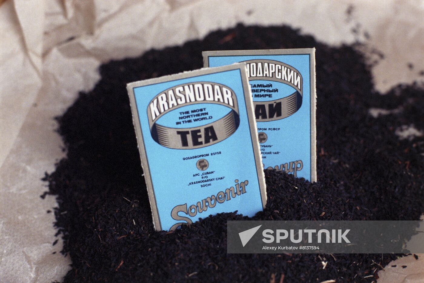 Krasnodar tea