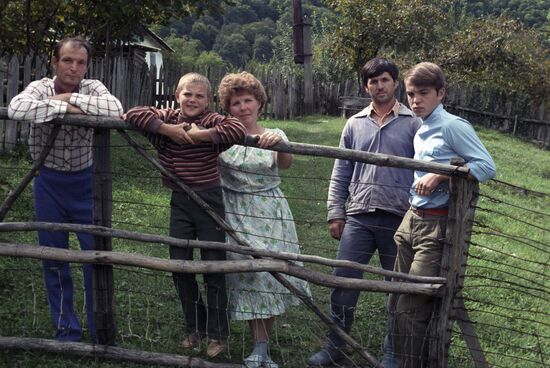 Tea plantations in Krasnodar Territory