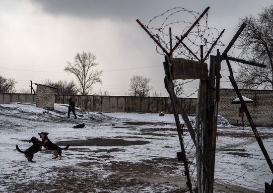 DPR LPR Russia Ukraine Military Operation