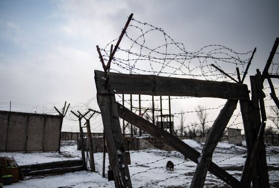 DPR LPR Russia Ukraine Military Operation