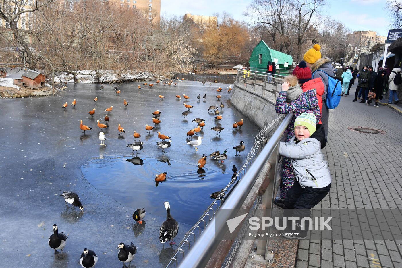 Russia Zoo