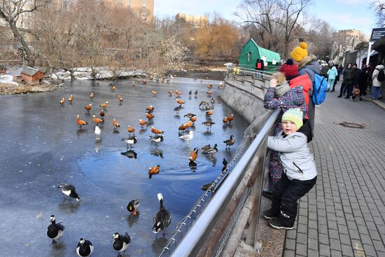 Russia Zoo