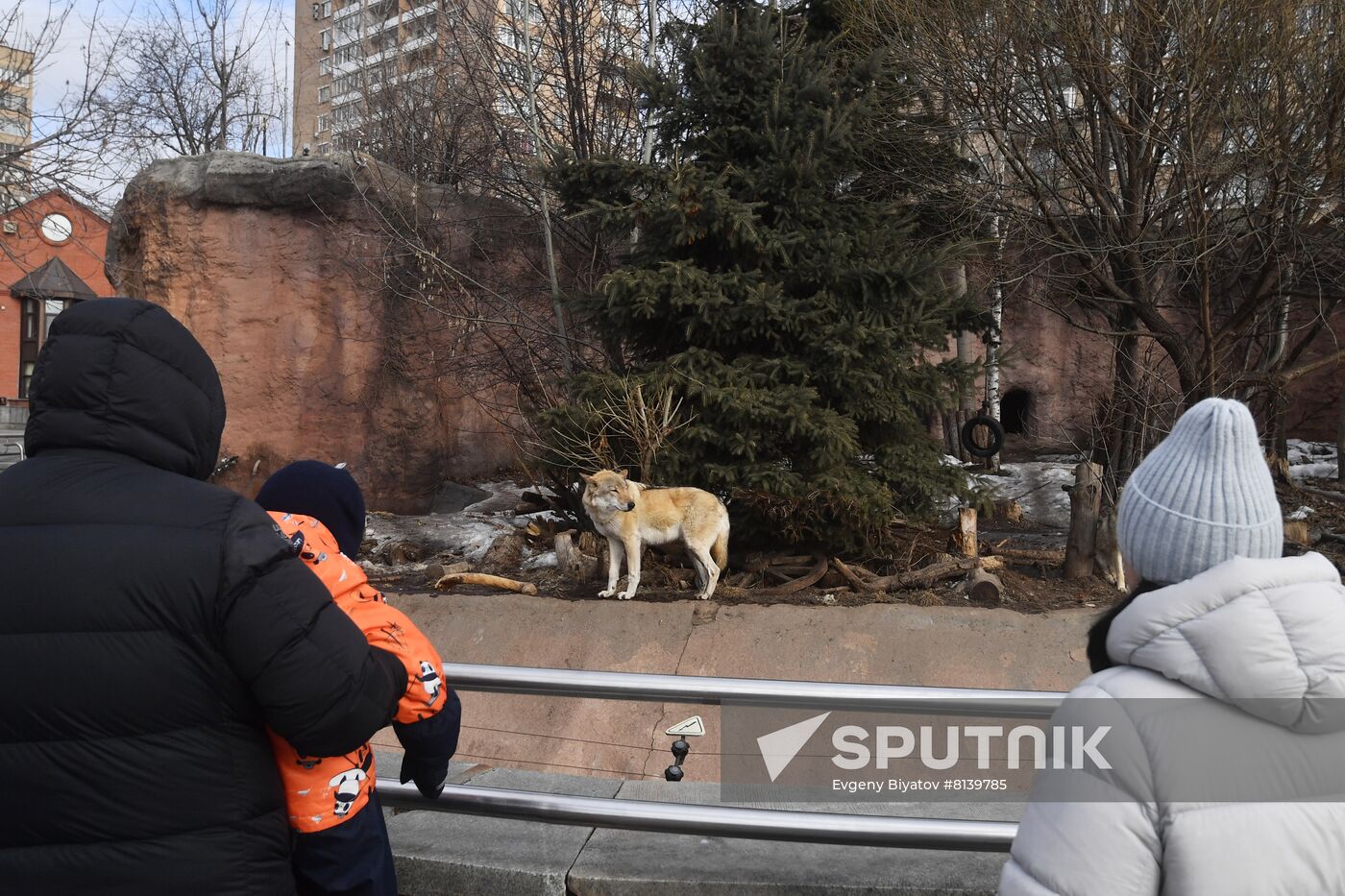 Russia Zoo