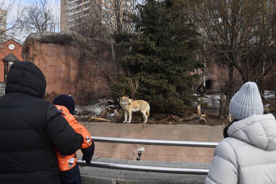 Russia Zoo