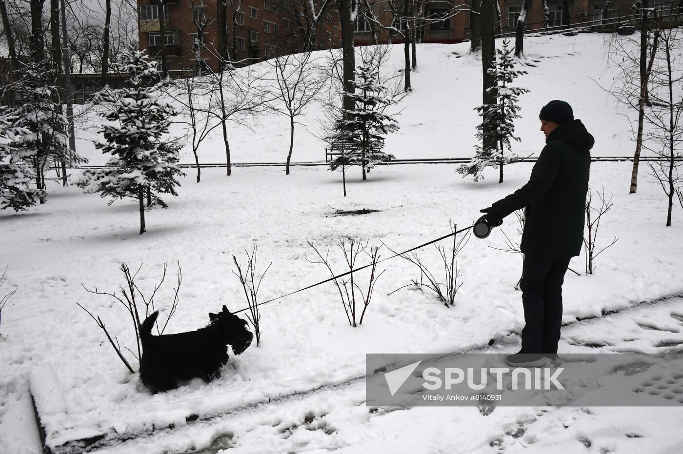 Russia Weather