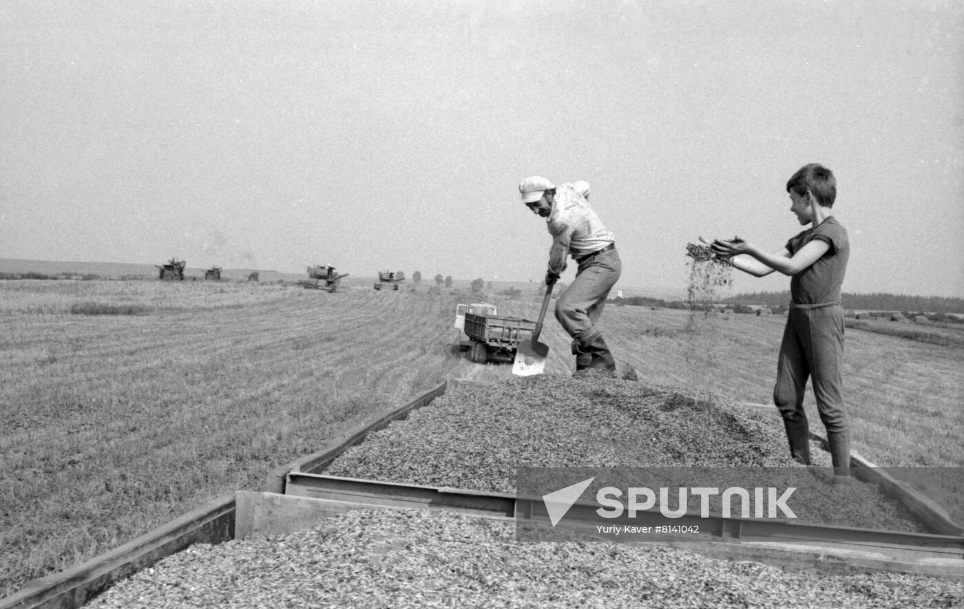 Iskra Collective Farm