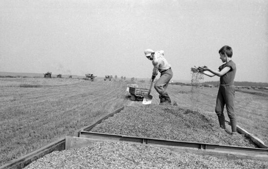 Iskra Collective Farm