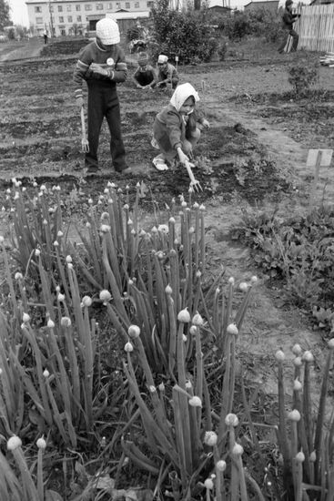 Iskra Collective Farm