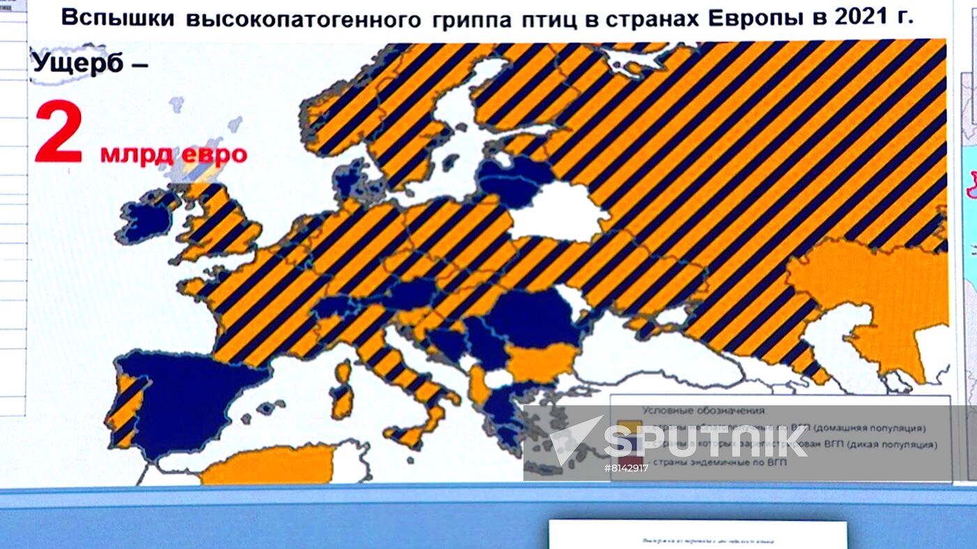 Russia Defence Ministry Ukrainian Biolabs Briefing