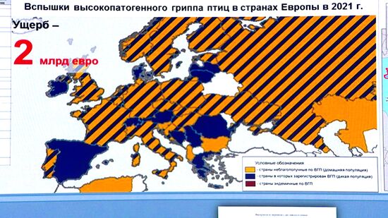 Russia Defence Ministry Ukrainian Biolabs Briefing