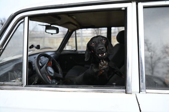 DPR LPR Russia Ukraine Military Operation