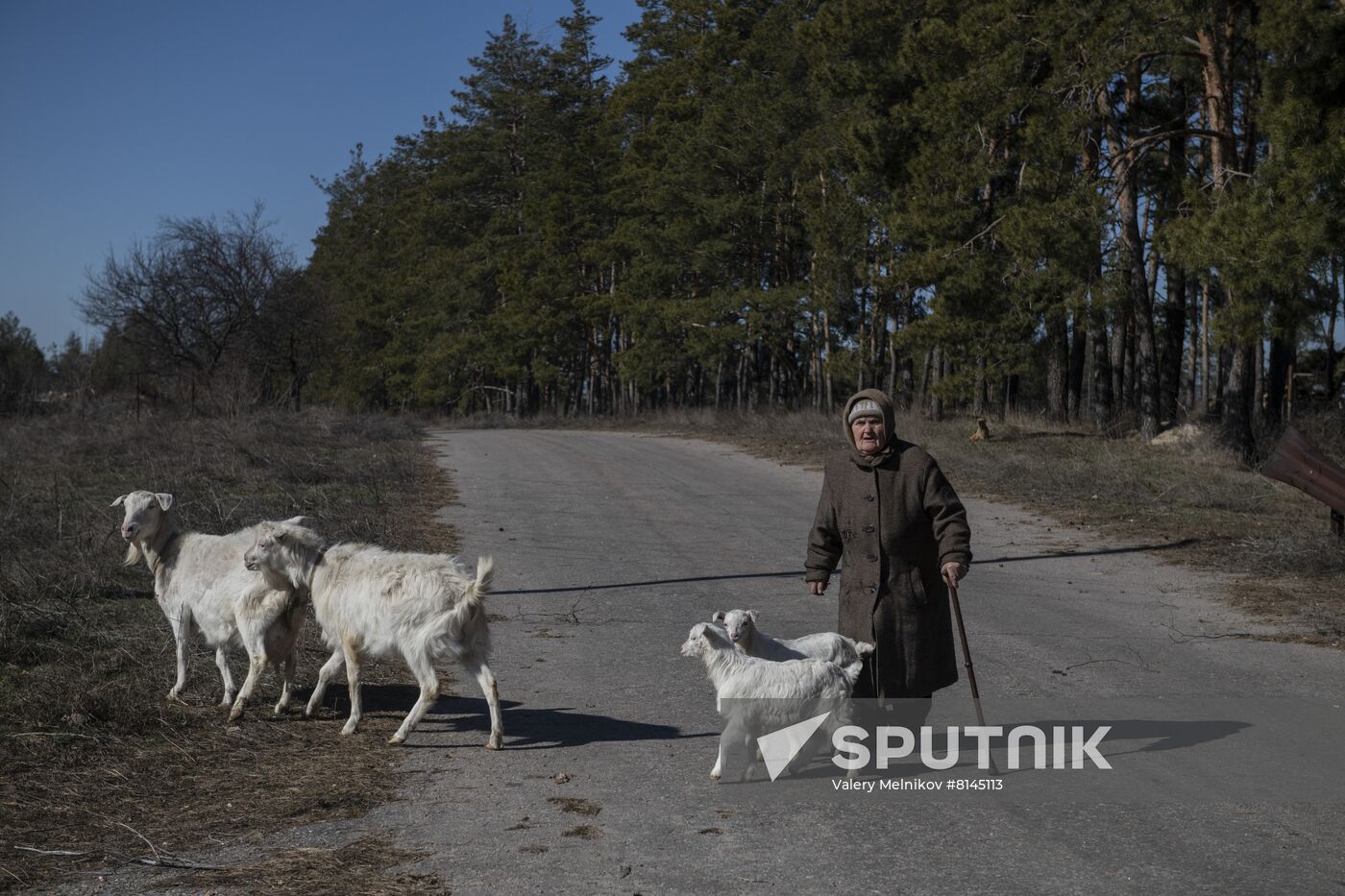 DPR LPR Russia Ukraine Military Operation