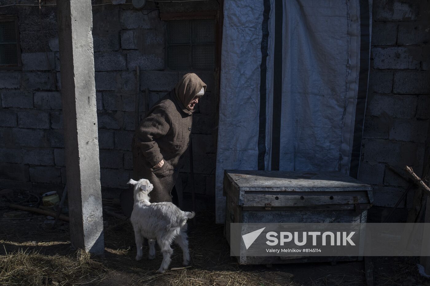 DPR LPR Russia Ukraine Military Operation