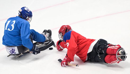 Russia Paralympians Winter Games Sledge Hokey Tarlan -Armenia