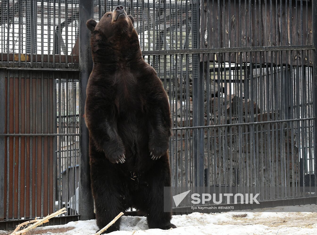 Russia Zoo