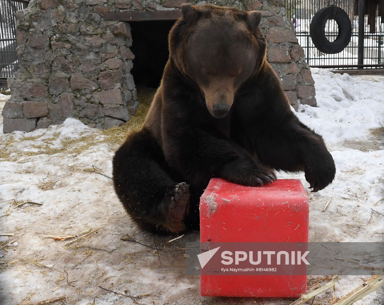 Russia Zoo