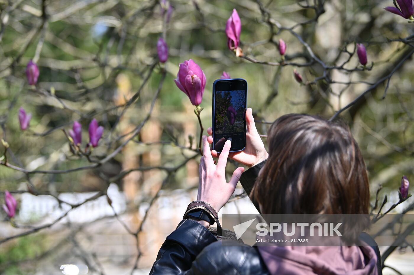Russia Flowers