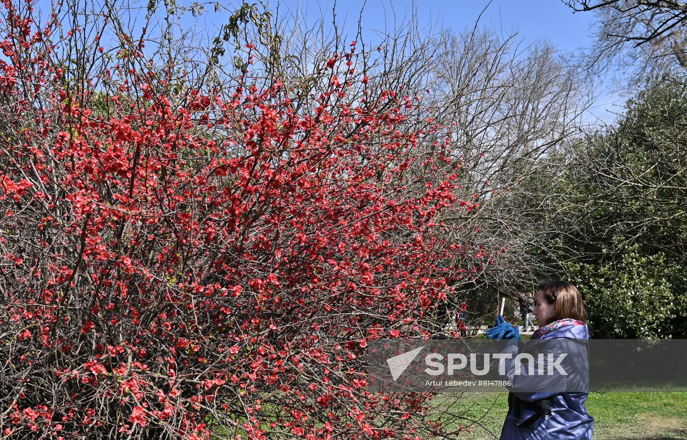 Russia Flowers