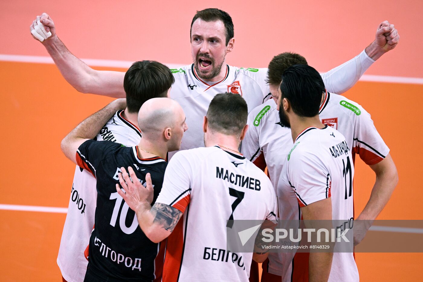 Russia Volleyball Super League Men Dinamo - Belogorie