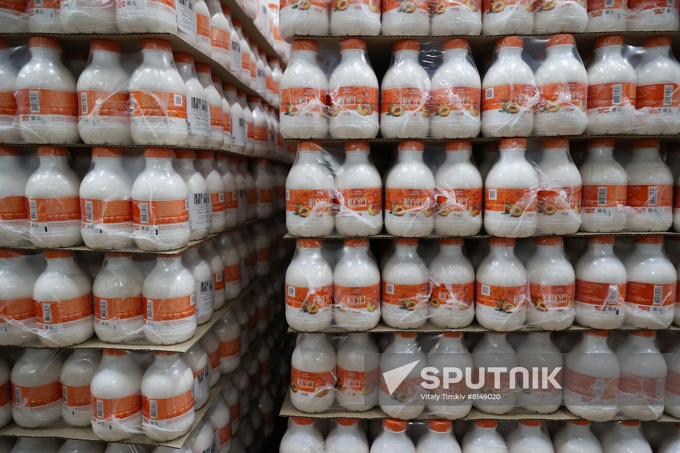 Russia Dairy Industry