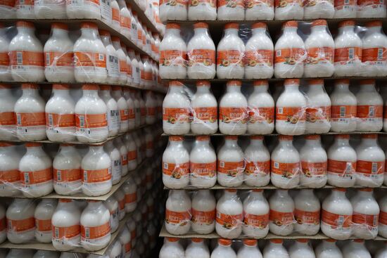 Russia Dairy Industry