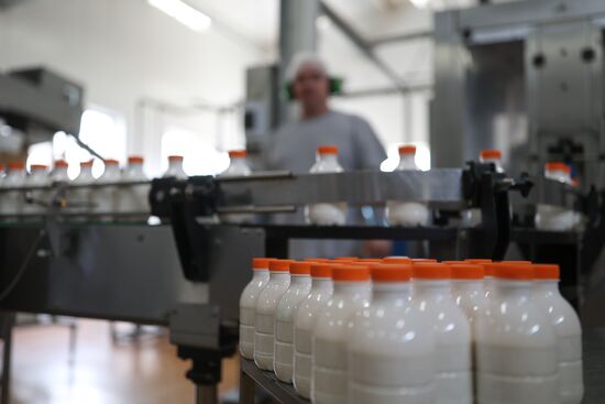 Russia Dairy Industry