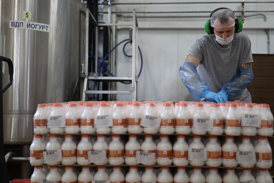 Russia Dairy Industry