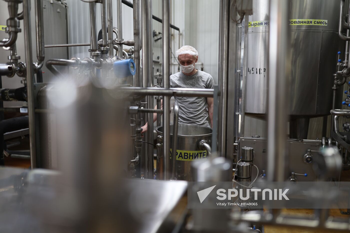 Russia Dairy Industry