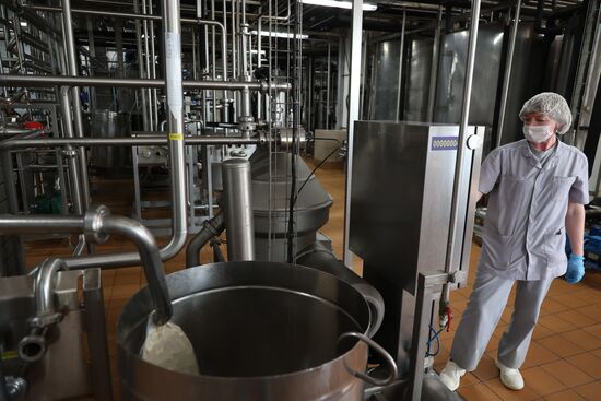 Russia Dairy Industry