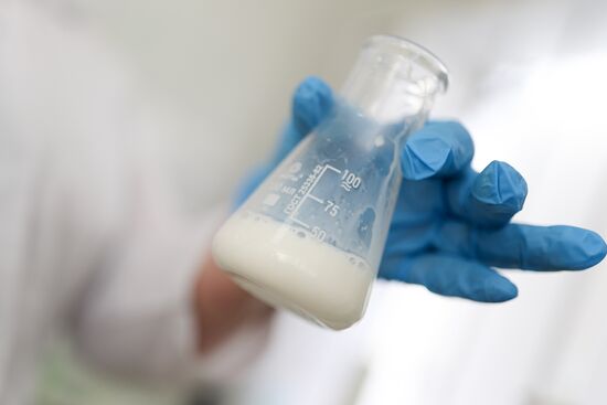 Russia Dairy Industry