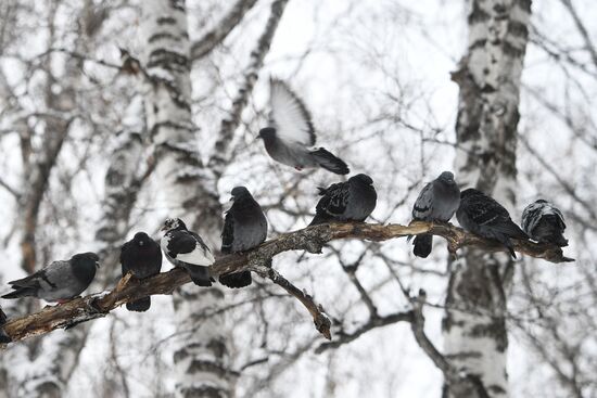 Russia Daily Life