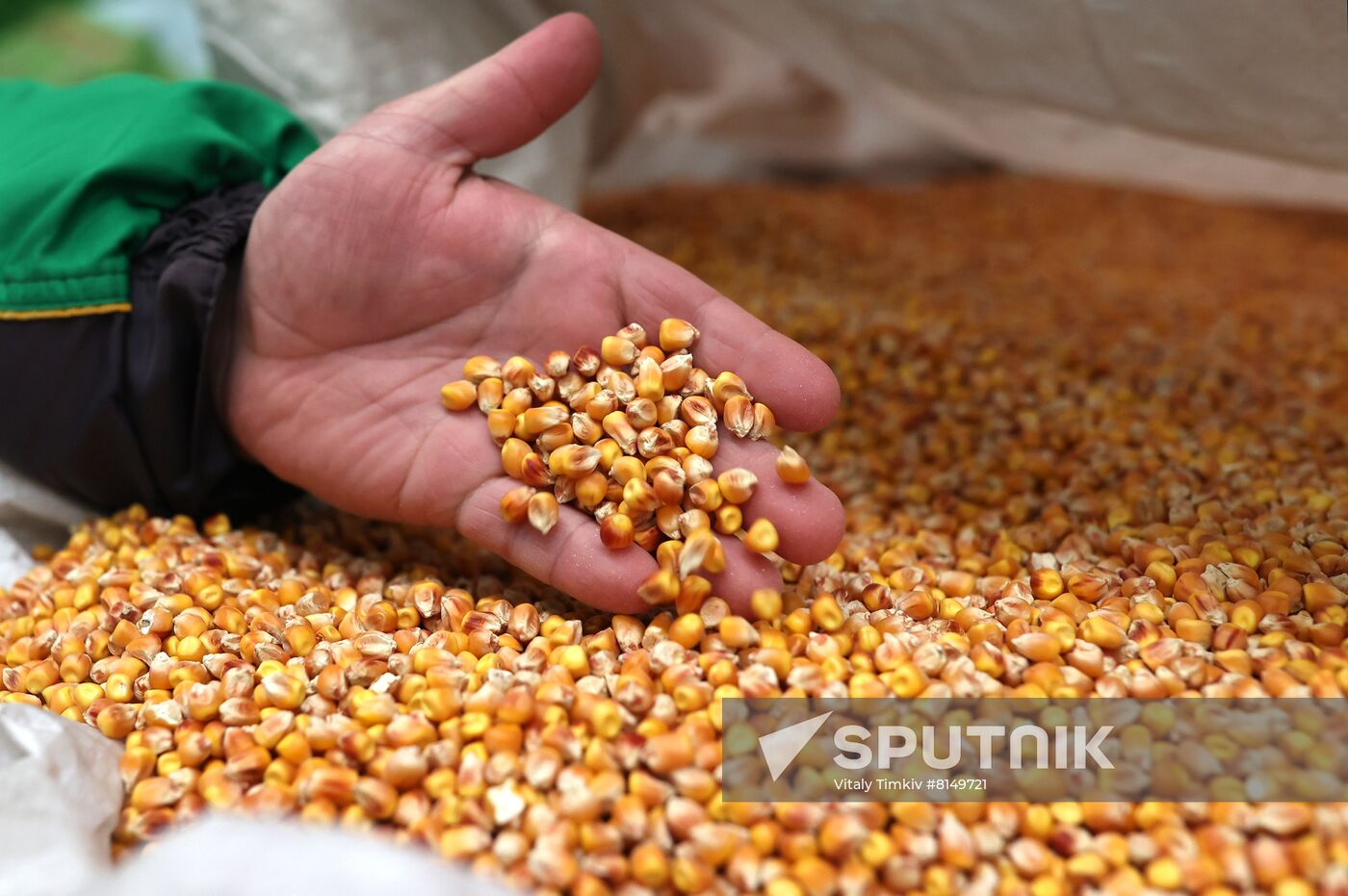 Russia Food Industry