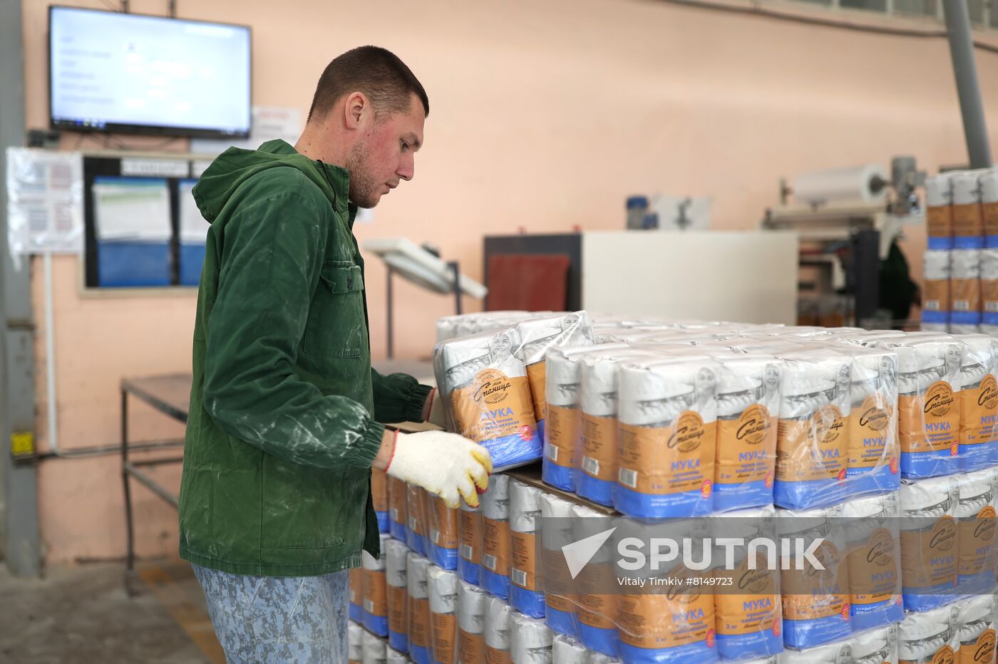 Russia Food Industry