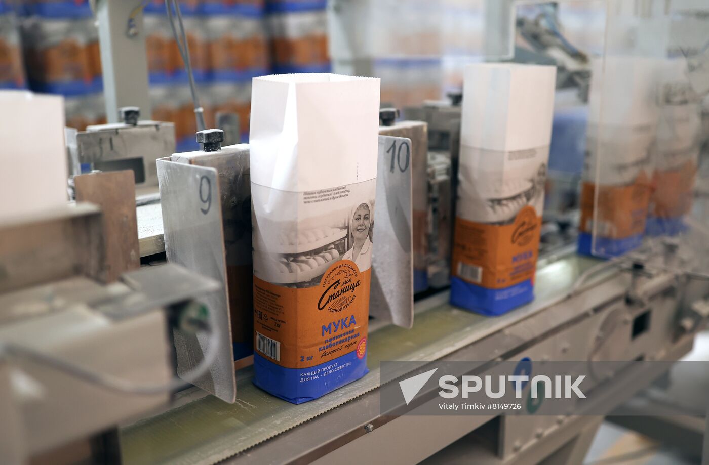 Russia Food Industry