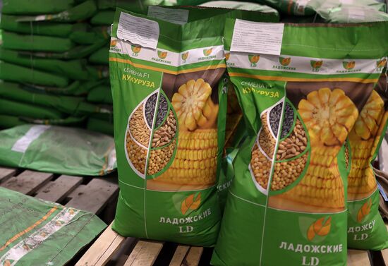 Russia Food Industry
