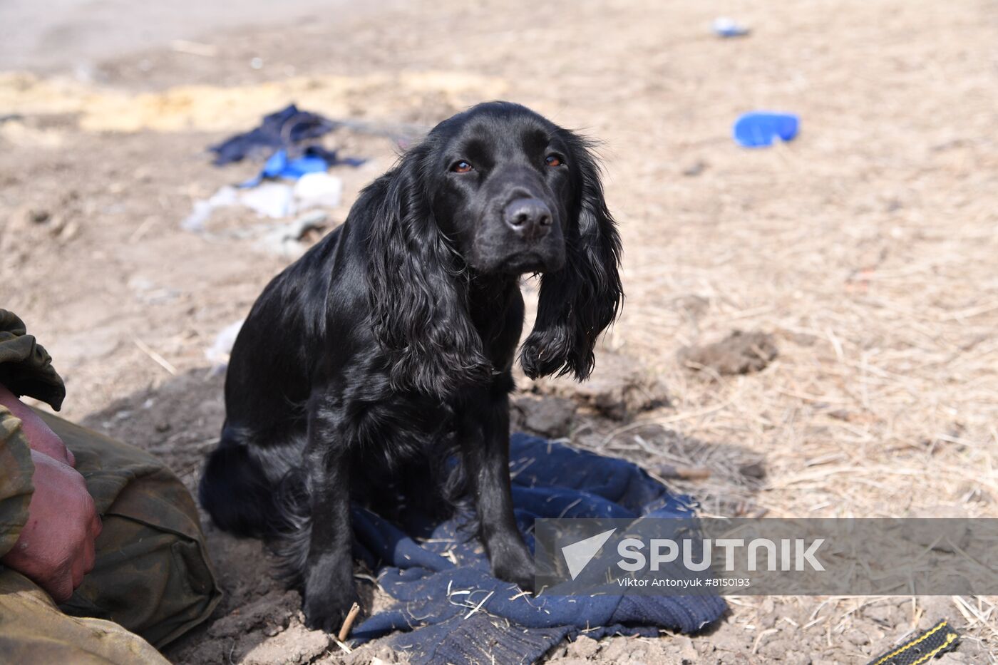 DPR LPR Russia Ukraine Military Operation