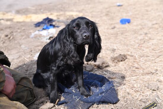 DPR LPR Russia Ukraine Military Operation 