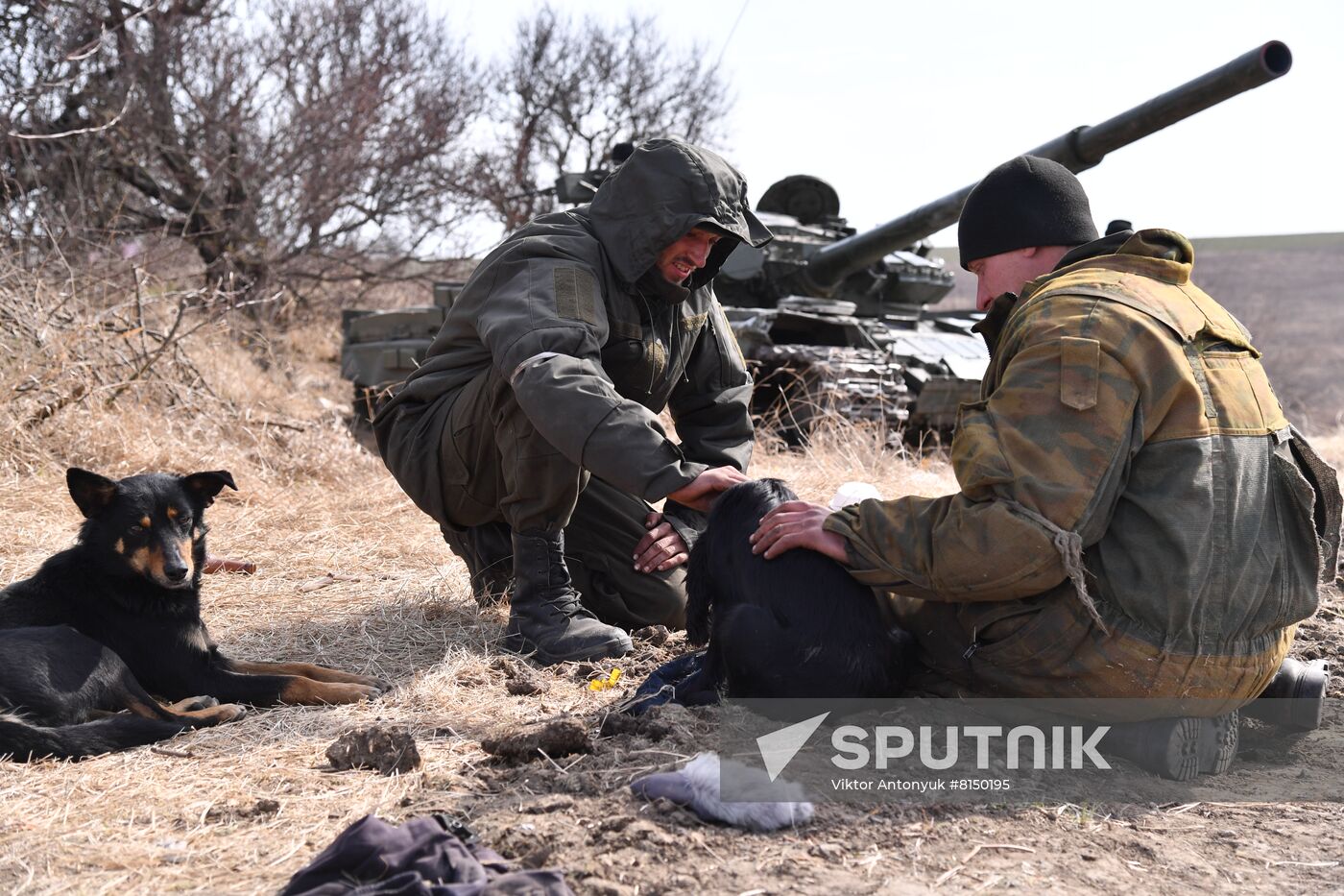 DPR LPR Russia Ukraine Military Operation 
