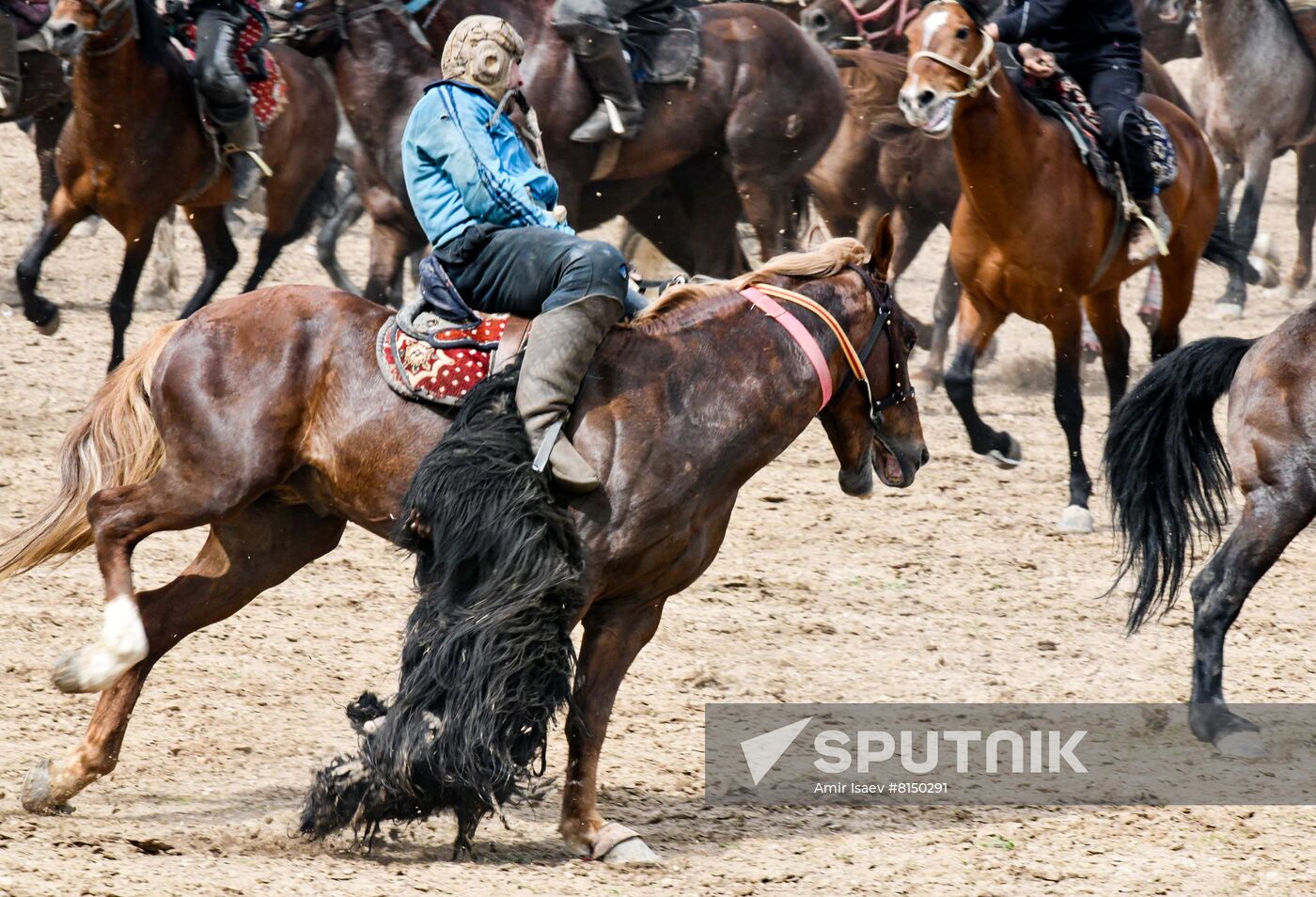 Tajikistan Buzkashi Traditional Horse Game