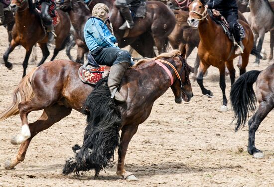 Tajikistan Buzkashi Traditional Horse Game