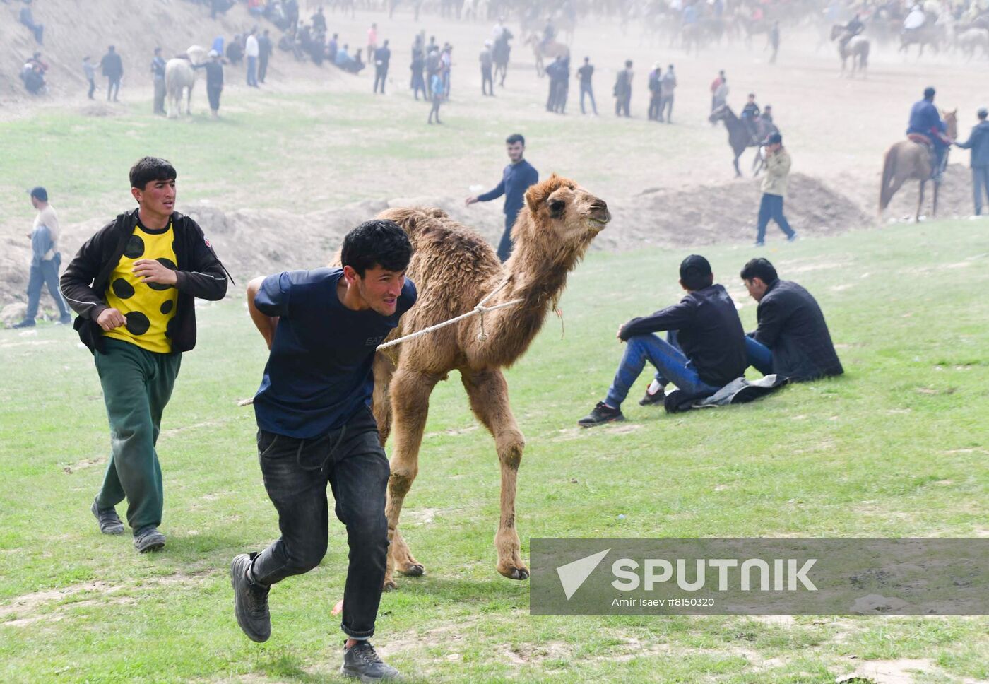 Tajikistan Buzkashi Traditional Horse Game