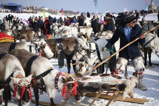 Russia Reindeer Herder's Day