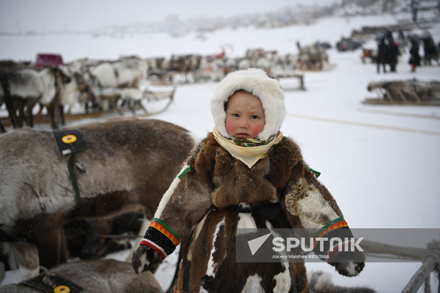 Russia Reindeer Herder's Day