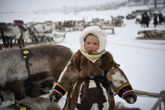 Russia Reindeer Herder's Day