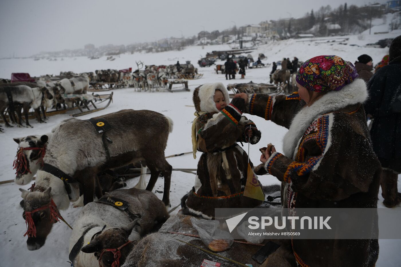 Russia Reindeer Herder's Day