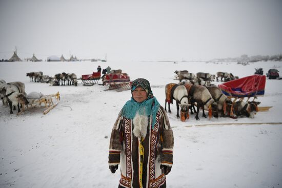 Russia Reindeer Herder's Day