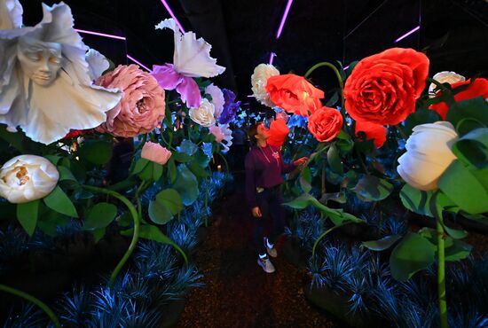 Russia Amusement Park