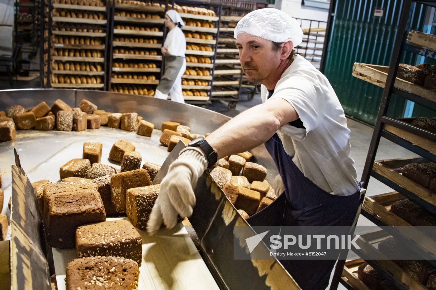 Russia Food Industry