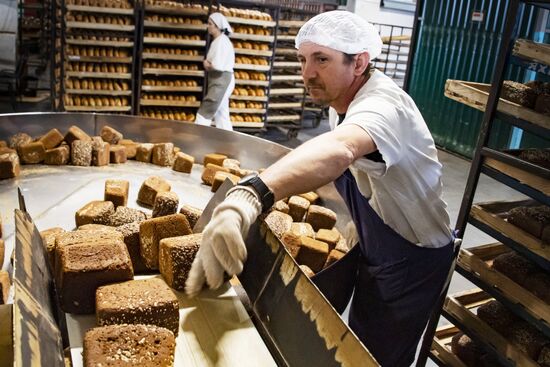Russia Food Industry