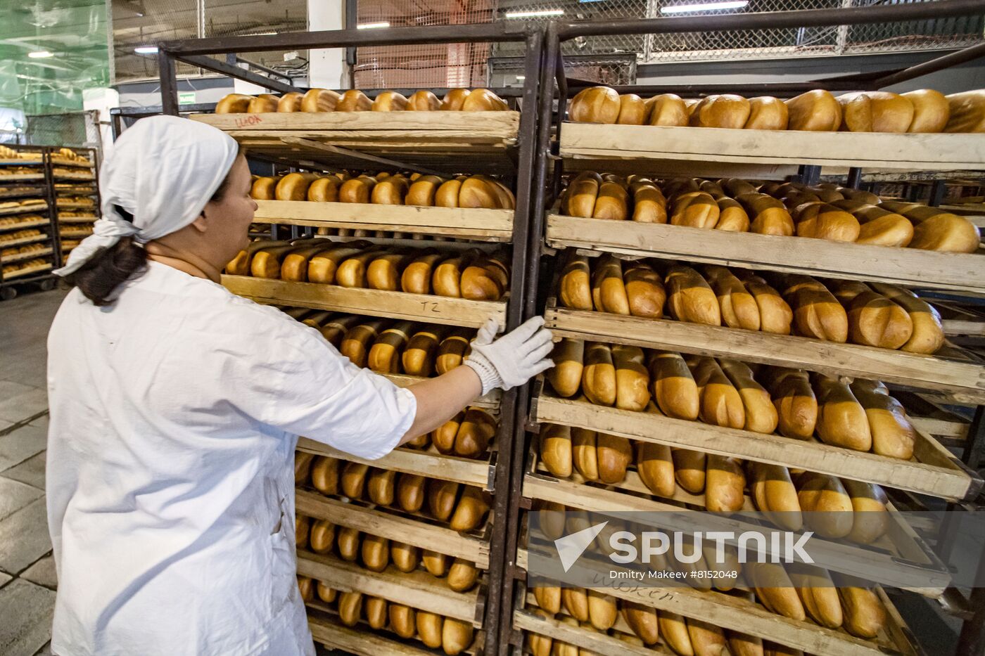 Russia Food Industry